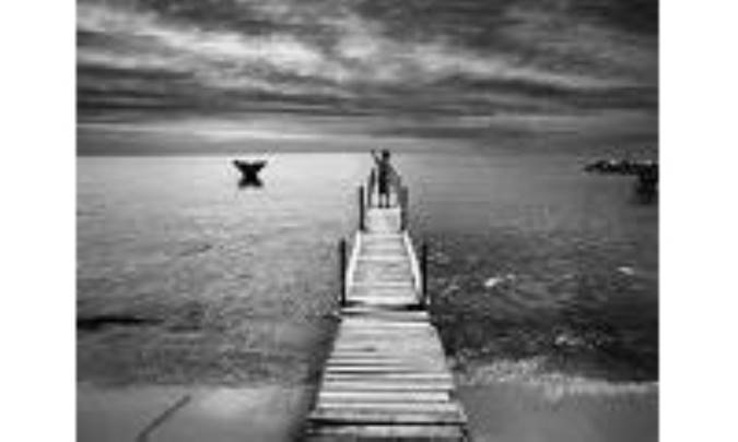 يأس را هم مي‌شود مأيوس کرد