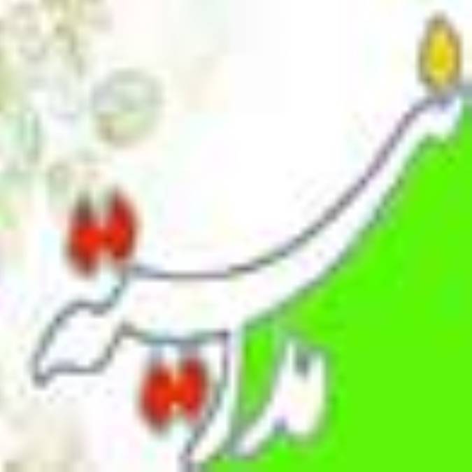 مدرنیته