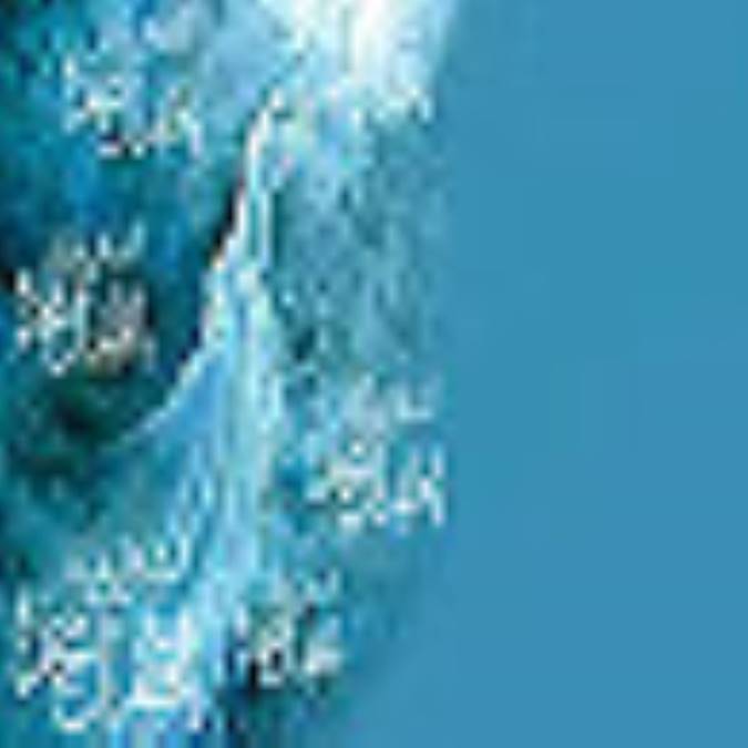 امام مهدى(علیه السلام) و فلسفه تاریخ 