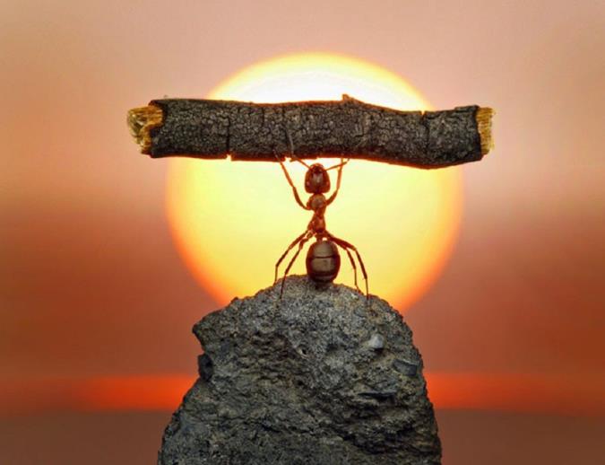 راه کار های داشتن اراده قوی