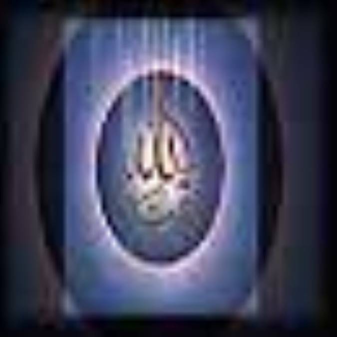 رايات سود ( 2 )