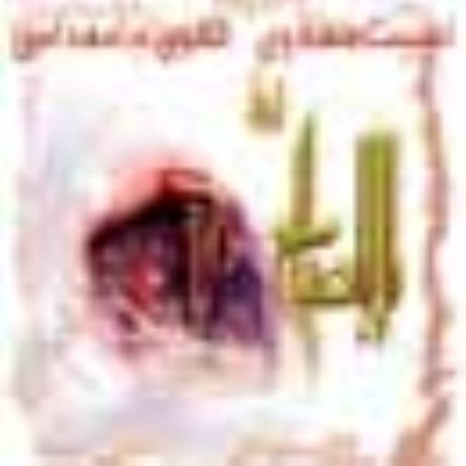 امنیت مهدوی، اٌلگوی جامعة اَمن