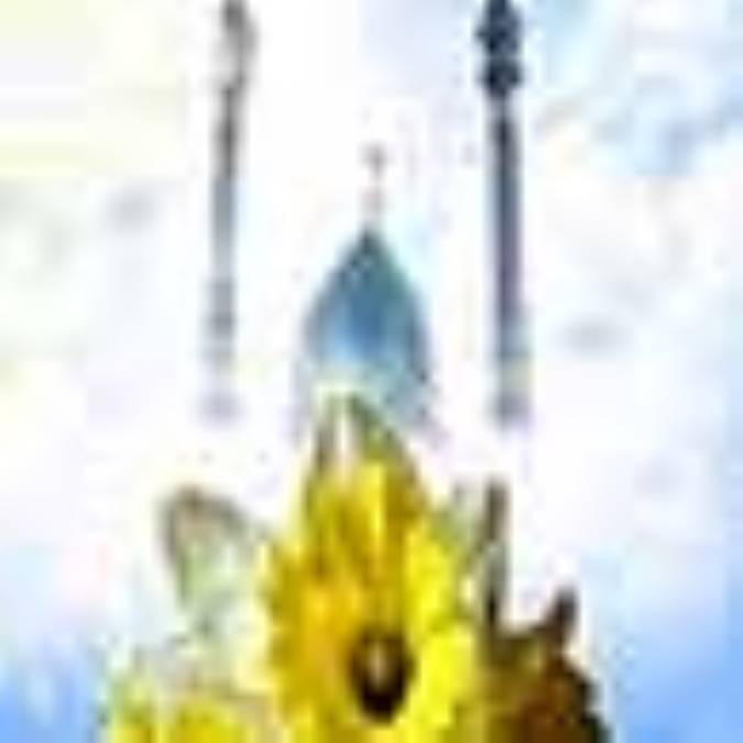 رنگ و بوي گل 