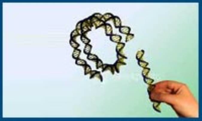 حقایقی در مورد مهندسی ژنتیک