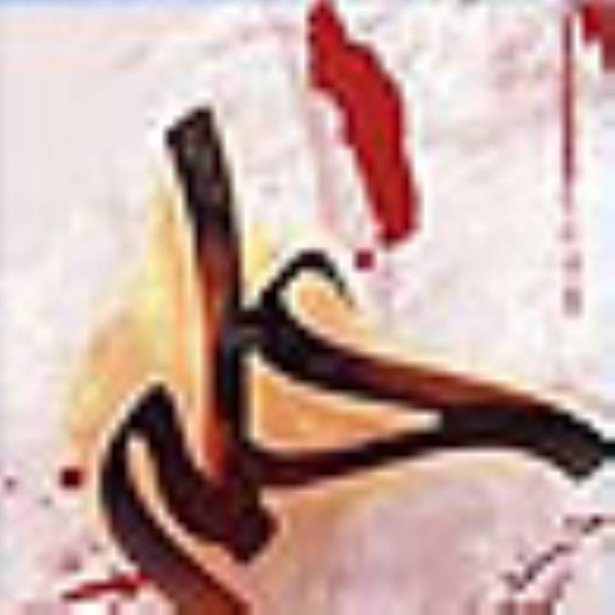 ضربه ابن ملجم(لعنت الله علیه)