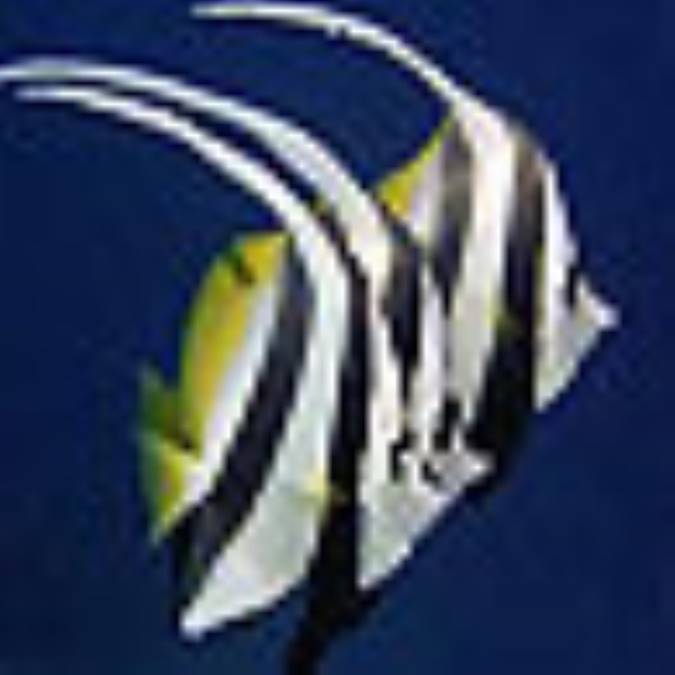 انجماداسپرم،کاربردوروش انجام آن درماهيان