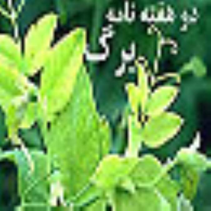 دو هفته نامه برگ