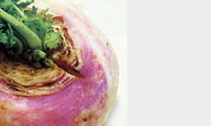 شلغم و خواص آن