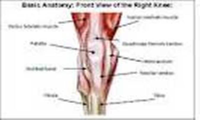 كوتاهي عضله