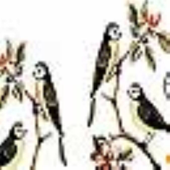 بشکفت جمله عالم