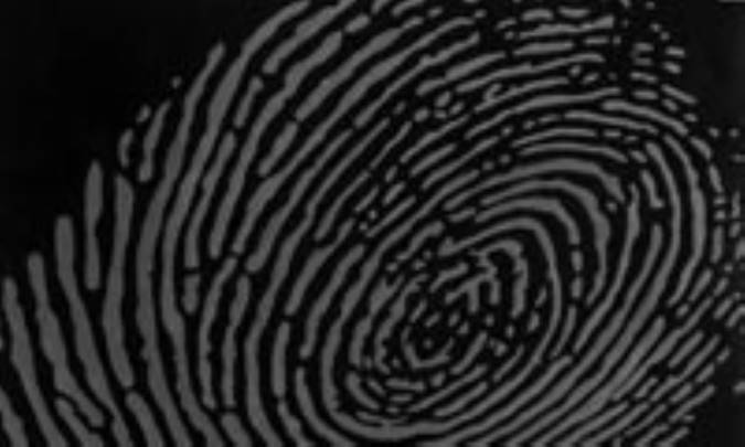 چيستي هويت و ابعاد آن