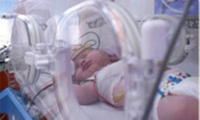 نوزادان آزمايشگاهي