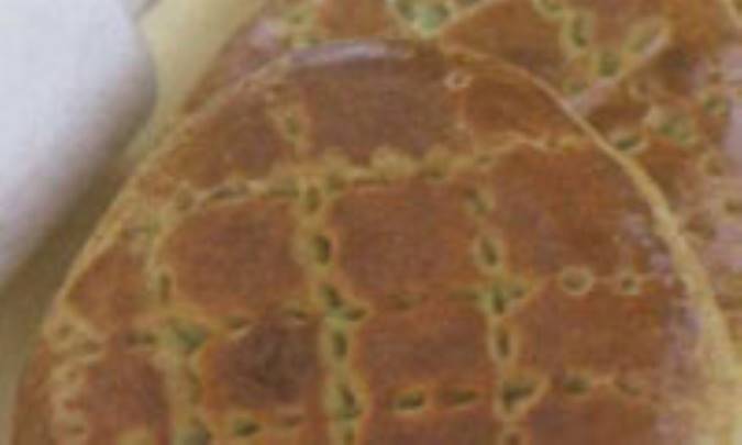 گاتا
