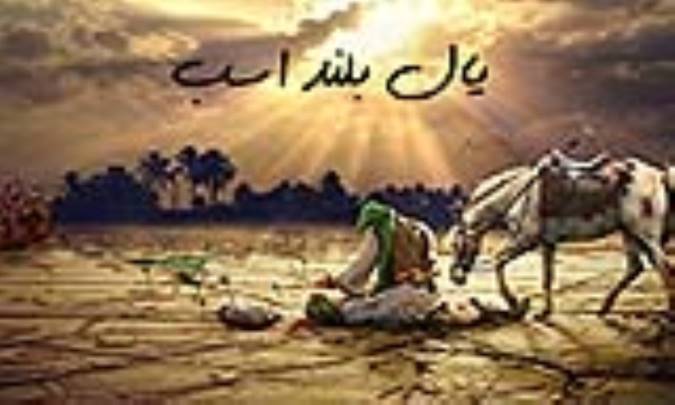 یال بلند اسب