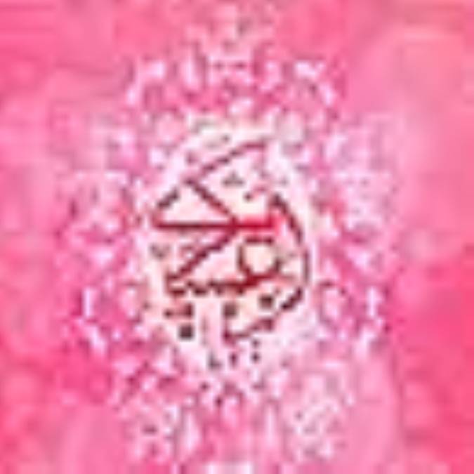شيعه يا محب؟!