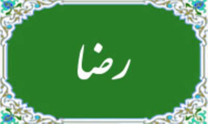 رضا