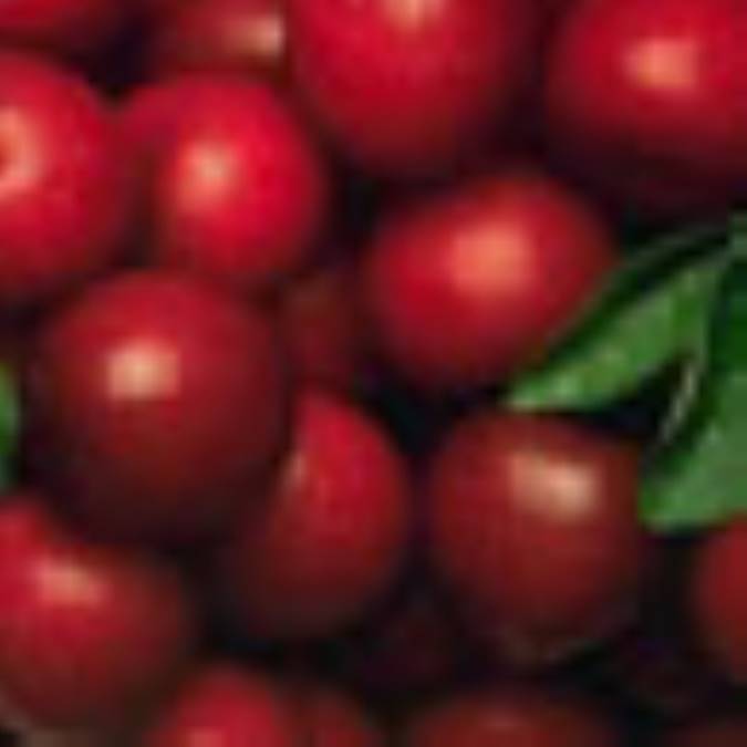 حلقه هاي گيلاس
