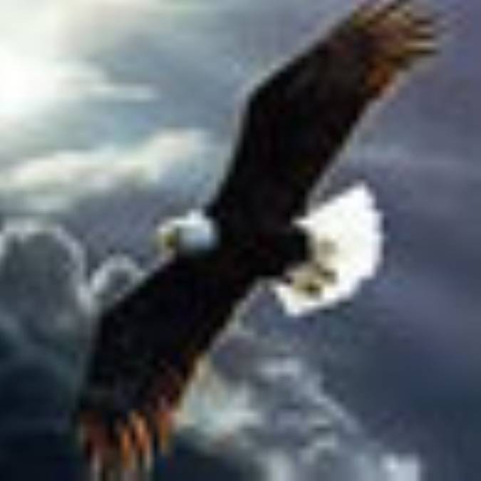 حیوان و روح