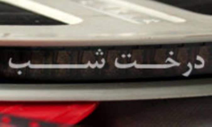 درخت شب