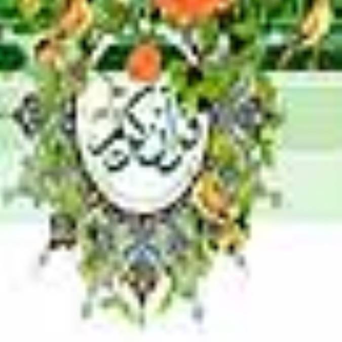 اعرابي و تأثير قرآن
