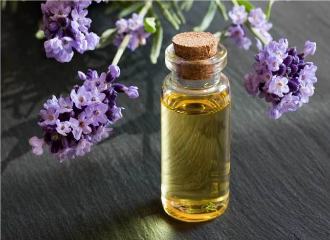 اسطوخودوس و تاثیر آن بر رشد مو