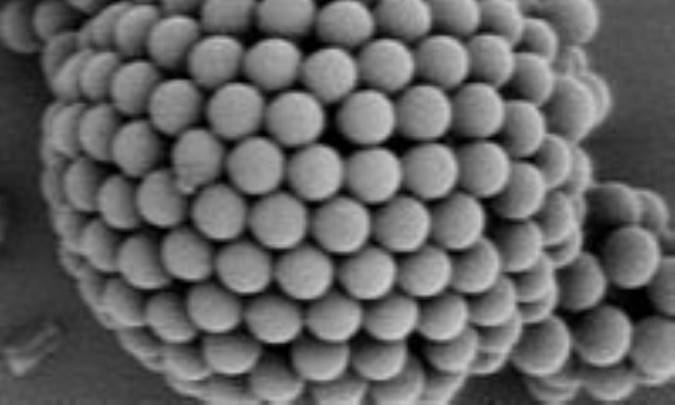 کلوئيد ( Colloid)