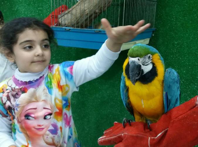 اسلام؛ حامی حقوق حیوانات