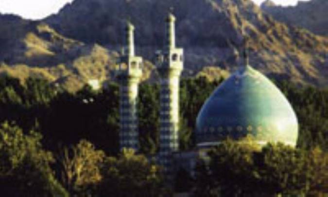 سرو کاشمر