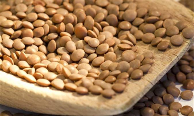 از خواص و مضرات عدس چه میدانید؟