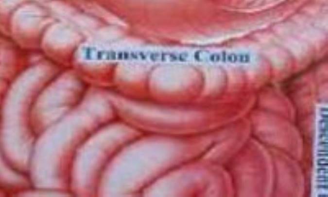 آپانديسيت را از کجا بشناسيم؟