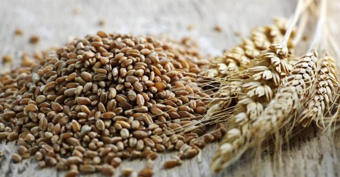 چاودار و فواید آن