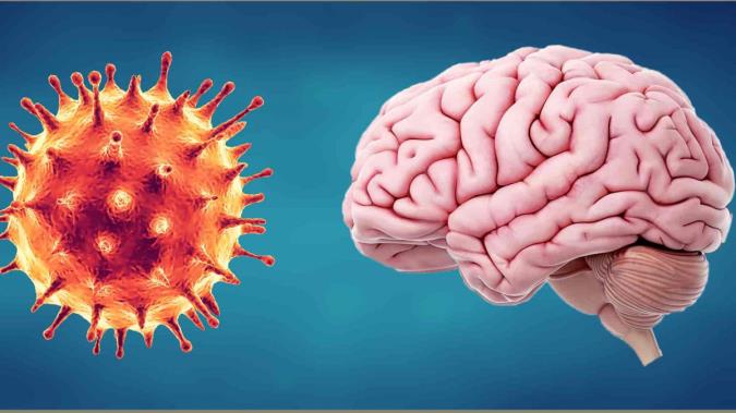 کرونا و پیامدهای آن روی مغز