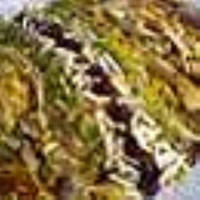 پيده با گوشت