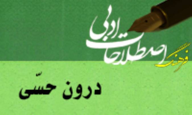 درون حسّي/ همزاد پنداري/ هم ذات پنداري Empathy