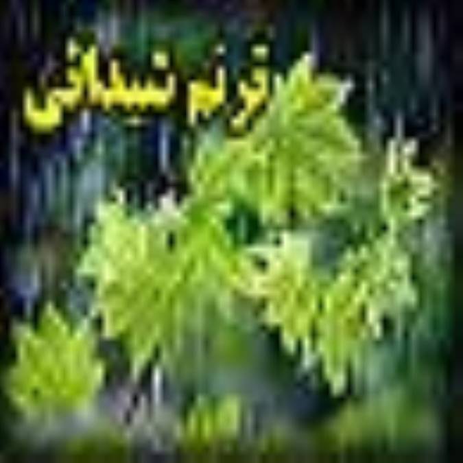 ترنم شيدايي