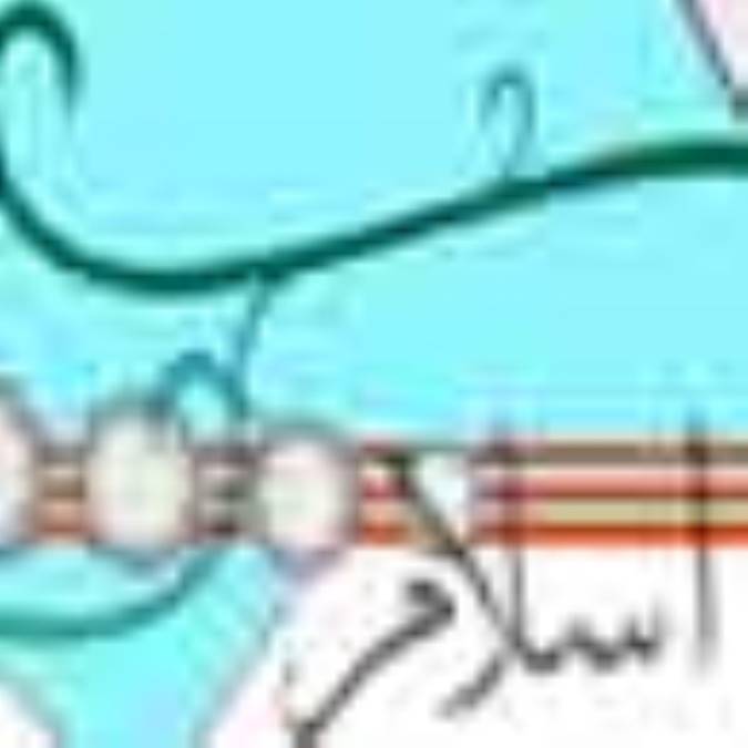 انواع معاهدات بين الملل در اسلام‏