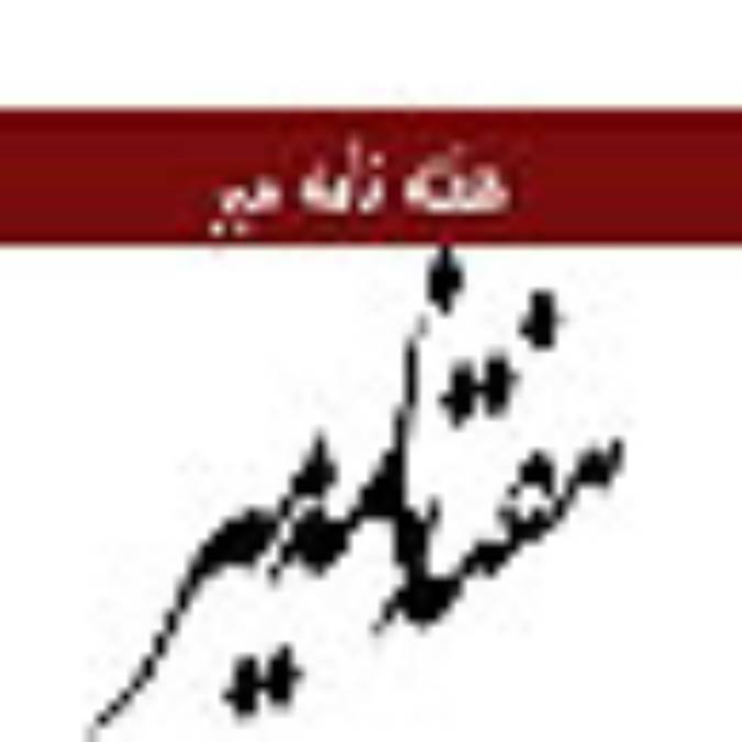 هفته نامه مير