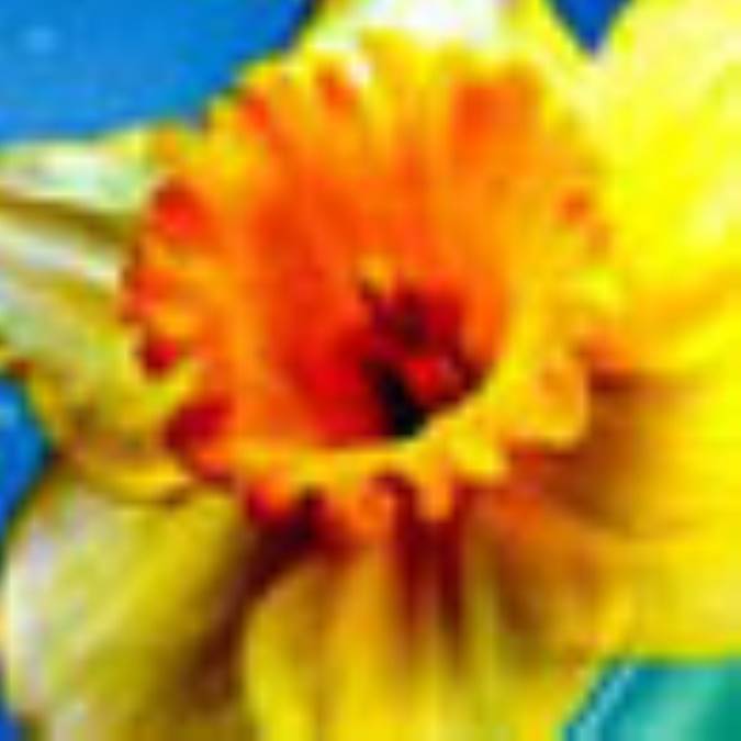 بررسی اجمالی مبانی اندیشه مهدویت