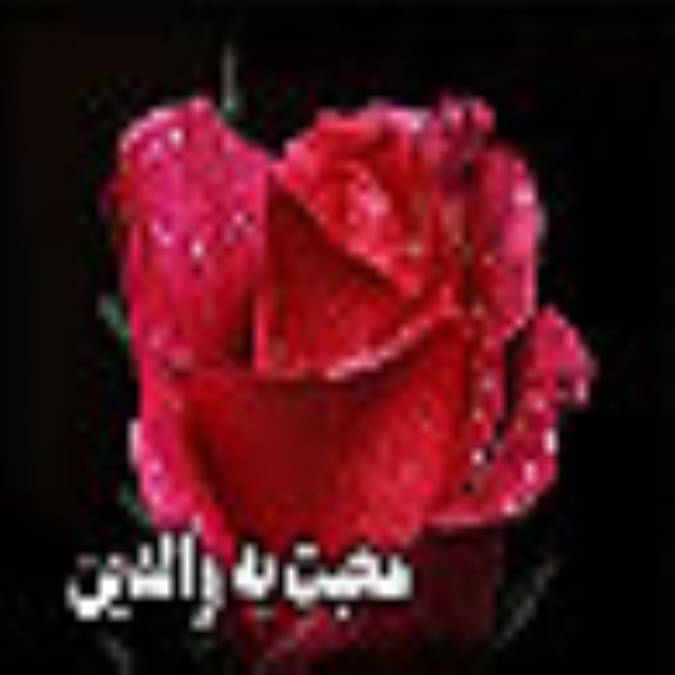 محبت به والدين