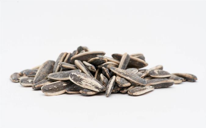 تخمه آفتاب گردان، خواص و مضرات آن