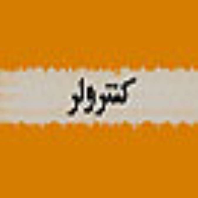 فصلنامه كنترولر