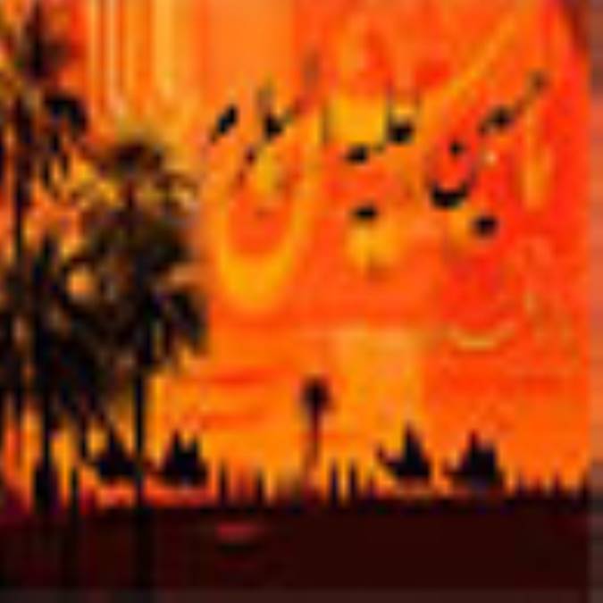 حسين را ديدم، شيعه شدم