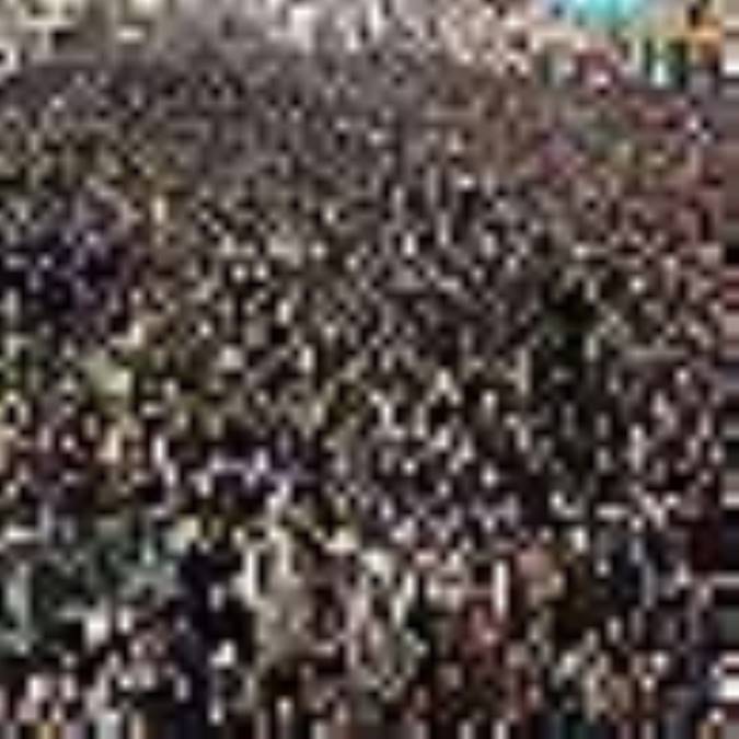 کنترل جمعيت معمايي چندگانه