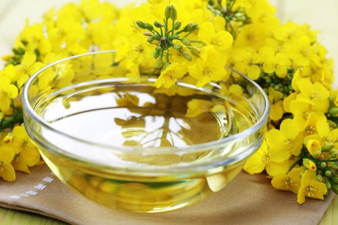 خواص و مضرات روغن کلزا