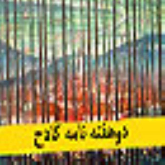 دو هفته نامه كادح