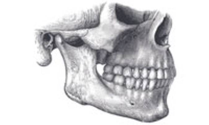 اصلاح ناهنجاري‌هاي فک