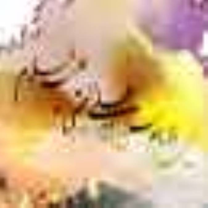 داوري امام حسن (ع)