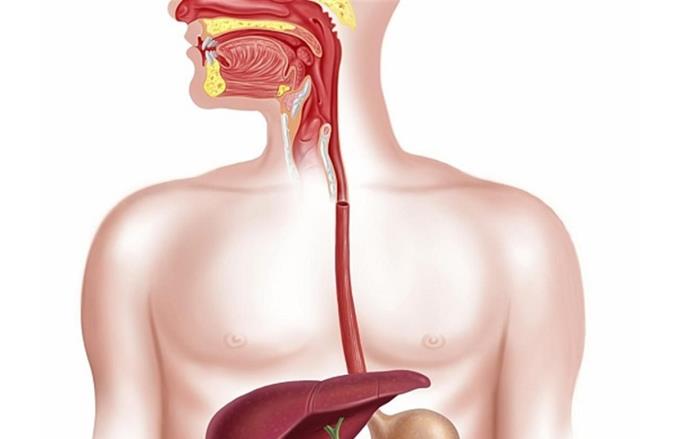 زخم مری چیست و چگونه درمان میشود؟