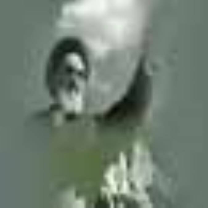 مراحل شكل گيرى حكومت اسلامى در بيان امام خمينى(ره) 