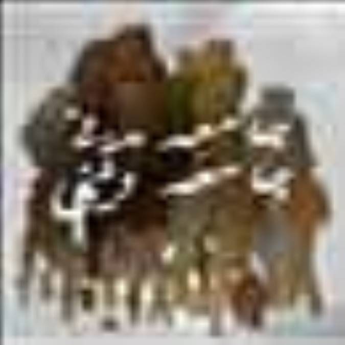 جامعه مدنی، جامعه دینی(4)